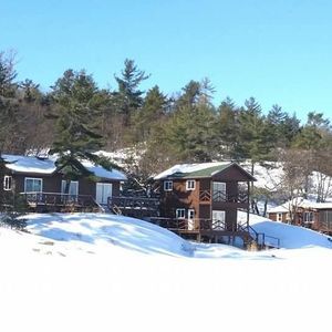 Meet your Posher, Bobbie